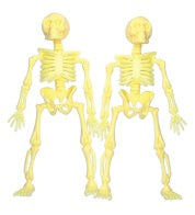 Skeleton 2 Pack