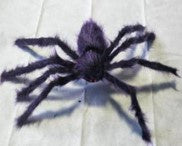 Black Furry Spider