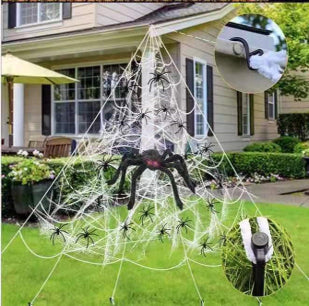 Spider Triangle Web