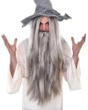 Wizard Grey Wig & Beard