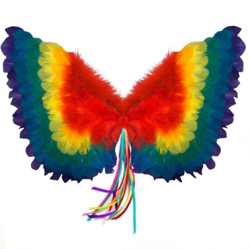 Rainbow Angel Wings