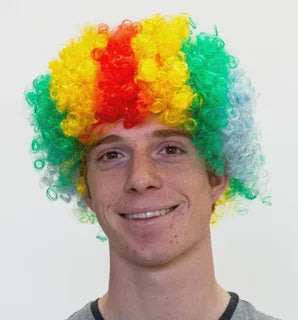 Rainbow Clown Wig