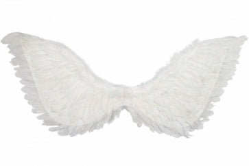 White Feather Wings 90cm x 50cm