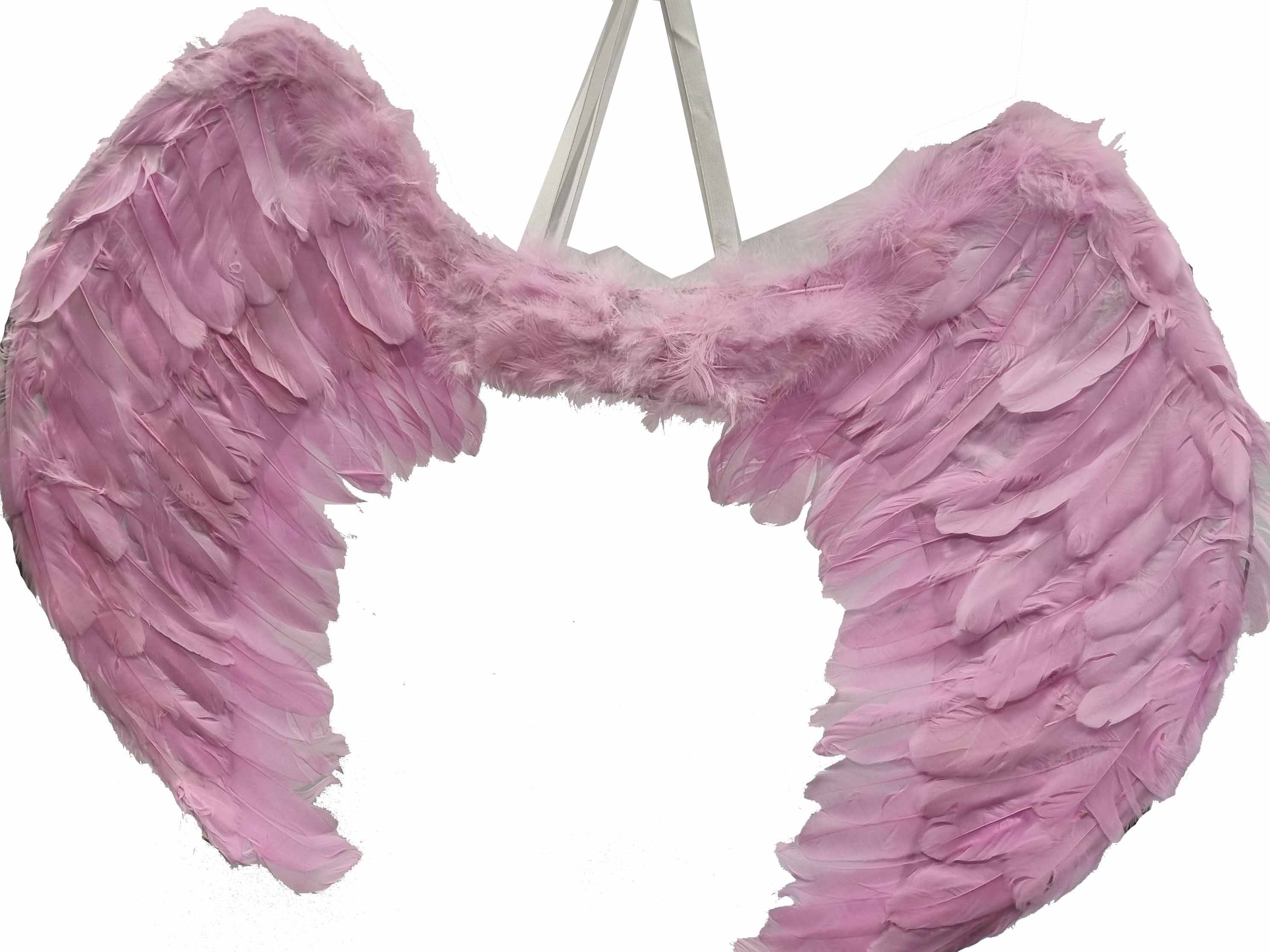 Pink Feather Wings 80x60cm