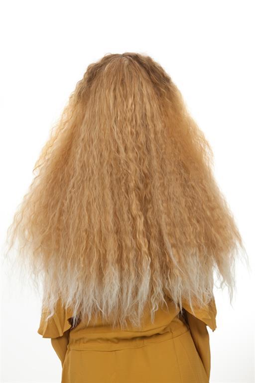 RnB Beauty Ombre Long Wig