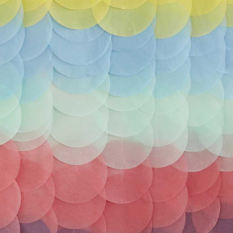 Ginger Ray Rainbow Tissue Paper Disc Party Backdrop