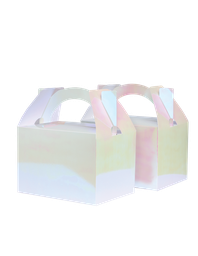 Iridescent Little Lunch Box - 10 Pack