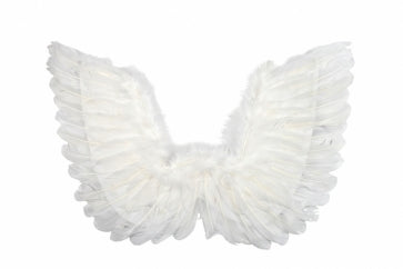 White Feather Wings 50cm x 40cm