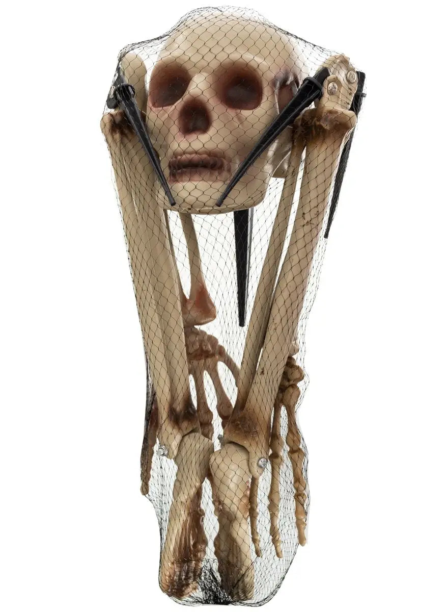 Human Skelton Remains 4pce 40cm